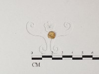 登錄號:F0012416藏品圖，第3張