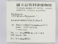 登錄號:F0012419藏品圖，第2張