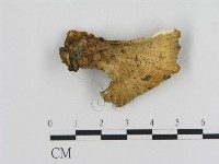 登錄號:F0012419藏品圖，第1張