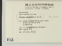 登錄號:F0012420藏品圖，第2張