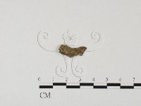 登錄號:F0012420藏品圖，第3張