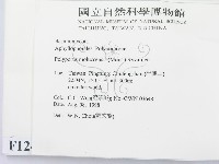 登錄號:F0012421藏品圖，第2張
