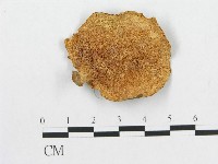 登錄號:F0012421藏品圖，第1張