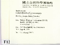 登錄號:F0012423藏品圖，第2張
