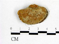 登錄號:F0012423藏品圖，第3張