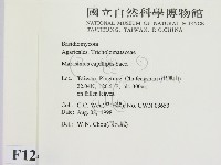登錄號:F0012426藏品圖，第2張