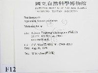 微皮傘屬藏品圖，第2張