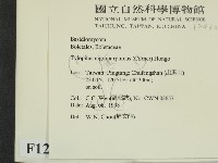 登錄號:F0012430藏品圖，第2張