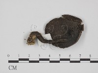 登錄號:F0012430藏品圖，第1張
