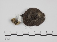 登錄號:F0012430藏品圖，第3張