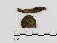 登錄號:F0012432藏品圖，第1張