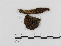 登錄號:F0012432藏品圖，第3張