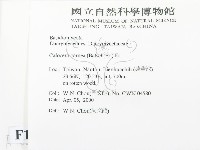 登錄號:F0012433藏品圖，第2張