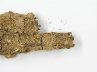 登錄號:F0012433藏品圖，第1張