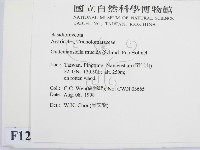 登錄號:F0012437藏品圖，第2張