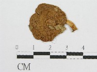 登錄號:F0012437藏品圖，第1張