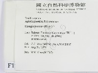 登錄號:F0012439藏品圖，第2張