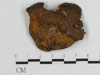 登錄號:F0012439藏品圖，第3張