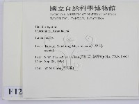 乳菇屬藏品圖，第2張