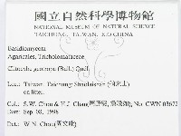 登錄號:F0012443藏品圖，第2張