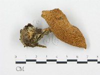 登錄號:F0012443藏品圖，第3張