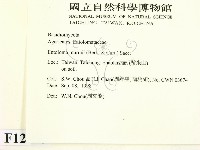 登錄號:F0012445藏品圖，第2張