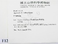 登錄號:F0012447藏品圖，第2張