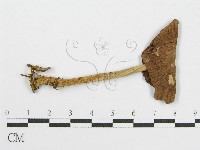 登錄號:F0012447藏品圖，第1張