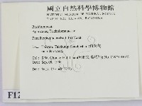 登錄號:F0012449藏品圖，第2張