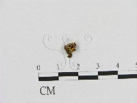 登錄號:F0012449藏品圖，第1張