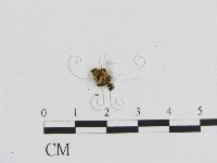 登錄號:F0012449藏品圖，第3張