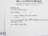 微皮傘屬藏品圖，第2張