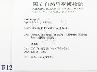 登錄號:F0012452藏品圖，第2張