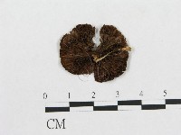 登錄號:F0012452藏品圖，第1張