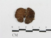 登錄號:F0012452藏品圖，第3張