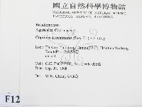 登錄號:F0012453藏品圖，第2張