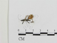 登錄號:F0012454藏品圖，第3張