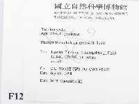 登錄號:F0012456藏品圖，第2張