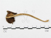 登錄號:F0012456藏品圖，第1張
