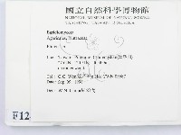 登錄號:F0012458藏品圖，第2張