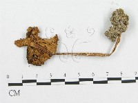 登錄號:F0012458藏品圖，第1張