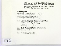 登錄號:F0012459藏品圖，第2張