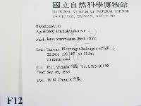登錄號:F0012460藏品圖，第2張