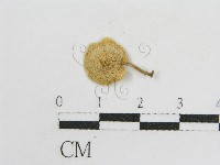 登錄號:F0012460藏品圖，第3張