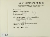 登錄號:F0012462藏品圖，第2張