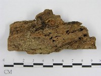 登錄號:F0012463藏品圖，第1張