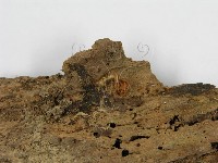 登錄號:F0012463藏品圖，第3張