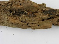 登錄號:F0012463藏品圖，第4張
