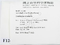 登錄號:F0012464藏品圖，第2張