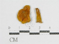 登錄號:F0012465藏品圖，第1張